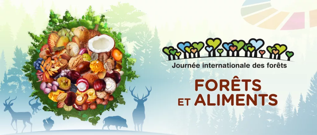 Visuel pour la journée internationale des forêts et aliments
