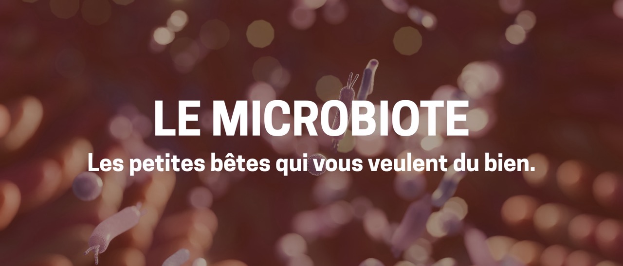 Vous êtes ce que vous mangez… littéralement ! Les petites bêtes qui vous veulent du bien.