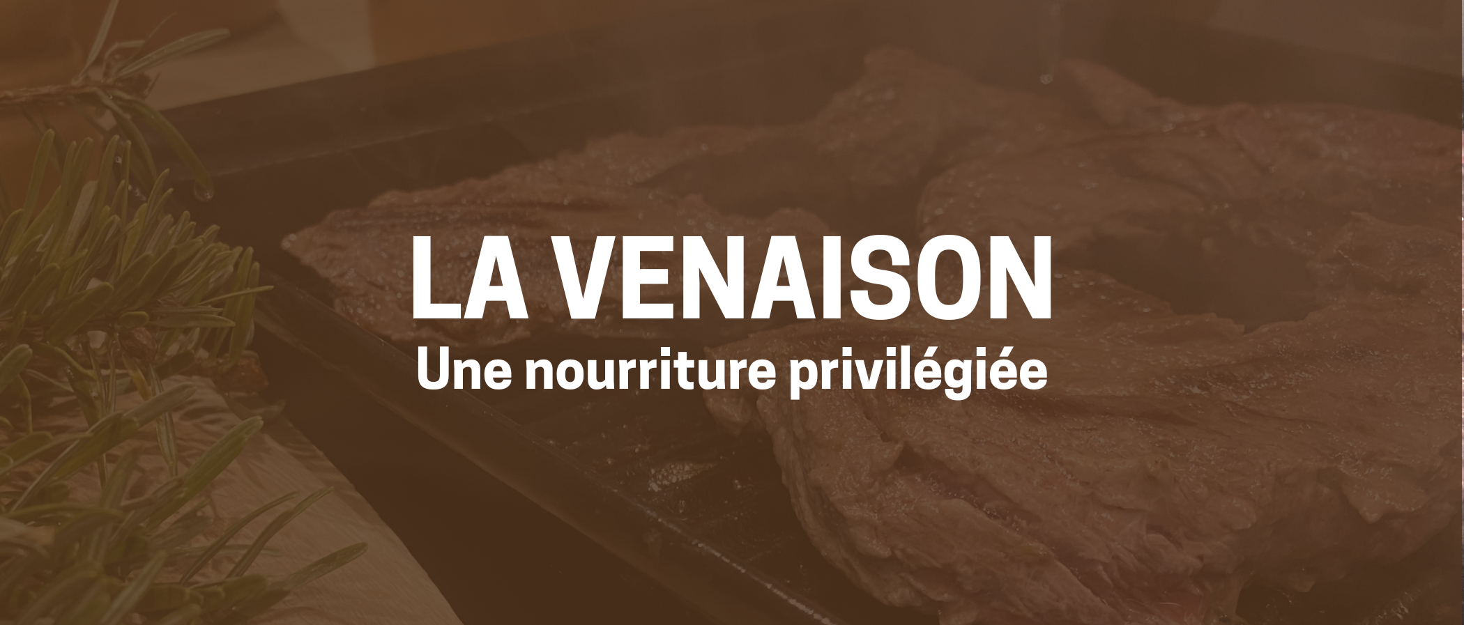La venaison : une nourriture privilégiée