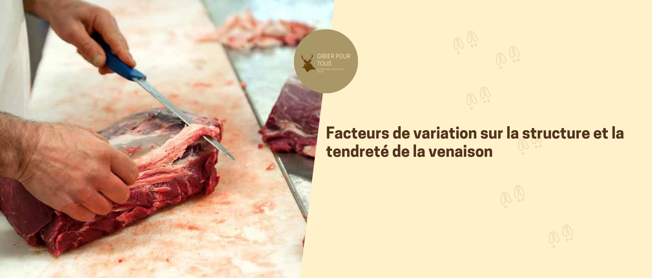 homme viande qui coupe